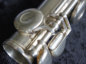 JigsawVintageCo,】アンティーク楽器 W.S.Haynes オールドヘインズ 総